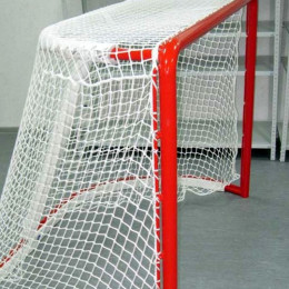 Сетка для хоккея, массовая d=2,2